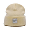 کلاه های بیسکی برای بزرگسالان کلاه های گرم زمستانی کاربردی