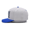 کلاه های بیسبال 3D مدل Snapback Full Seasons